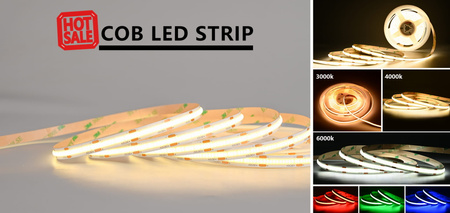 Taśma LED proCOB® 24V 11W  ZIMNA 480 LED CRI>90-5m ULLS29 proCOB®